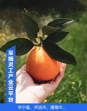 welcome-百乐博·(blb)官方网站
