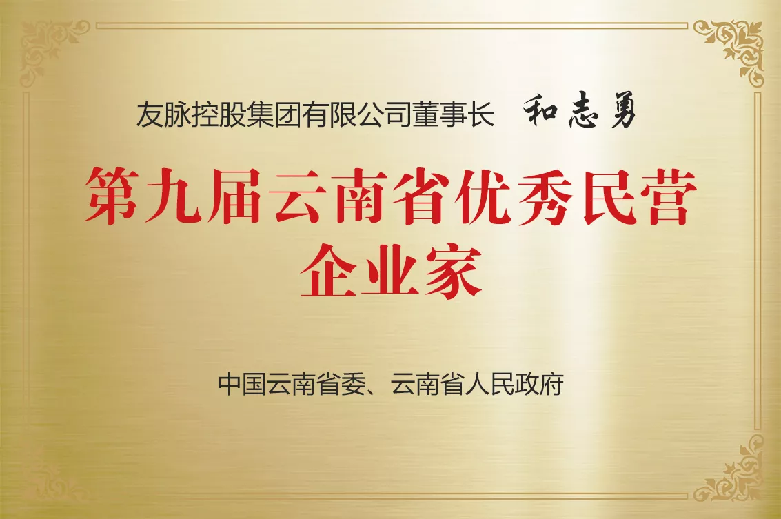 云南省优良民营企业家