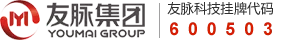 友脉控股集团有限公司（简�����友脉集团）2014年注册成立于春城昆明，集团在西南昆明、华南广州启动了双总部驱动发展战略，是一家集人力资源、教育培训、安保服务、呼叫中心、互联网业务、文化旅游、众创空间等业务为一体跨行业、跨区域的多元化综合服务企业集团。集团目前拥有27家控股/参股企业或分子公司、1所职业培训学校、1个省级众创空间，同时在西南及华南区域建立了多家分支机构开展属地化业务。
