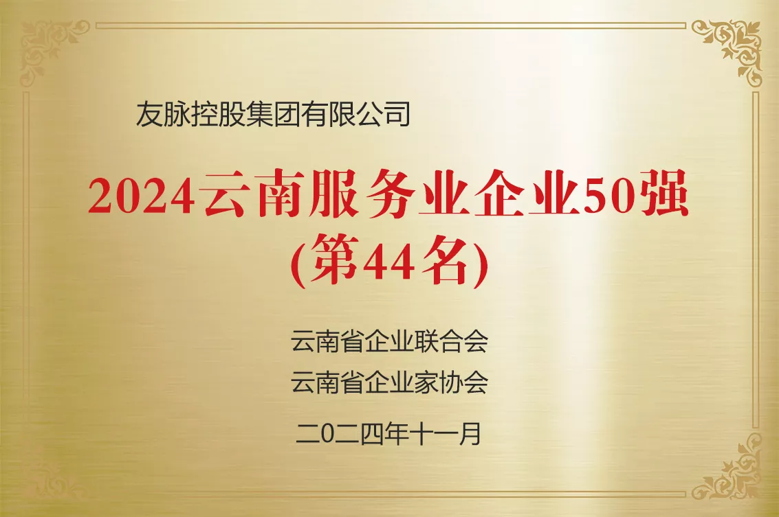 2024云南服务业企业50强