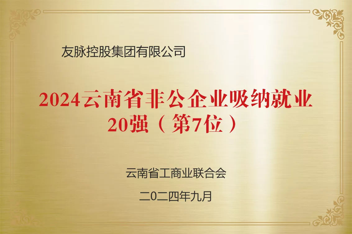 2024云南省非公企业吸纳就业20强(第7位)