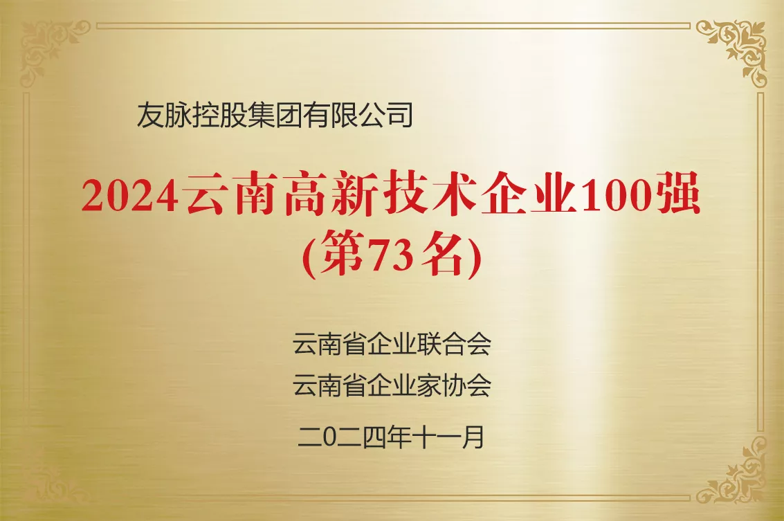 2024云南高新技术企业100强