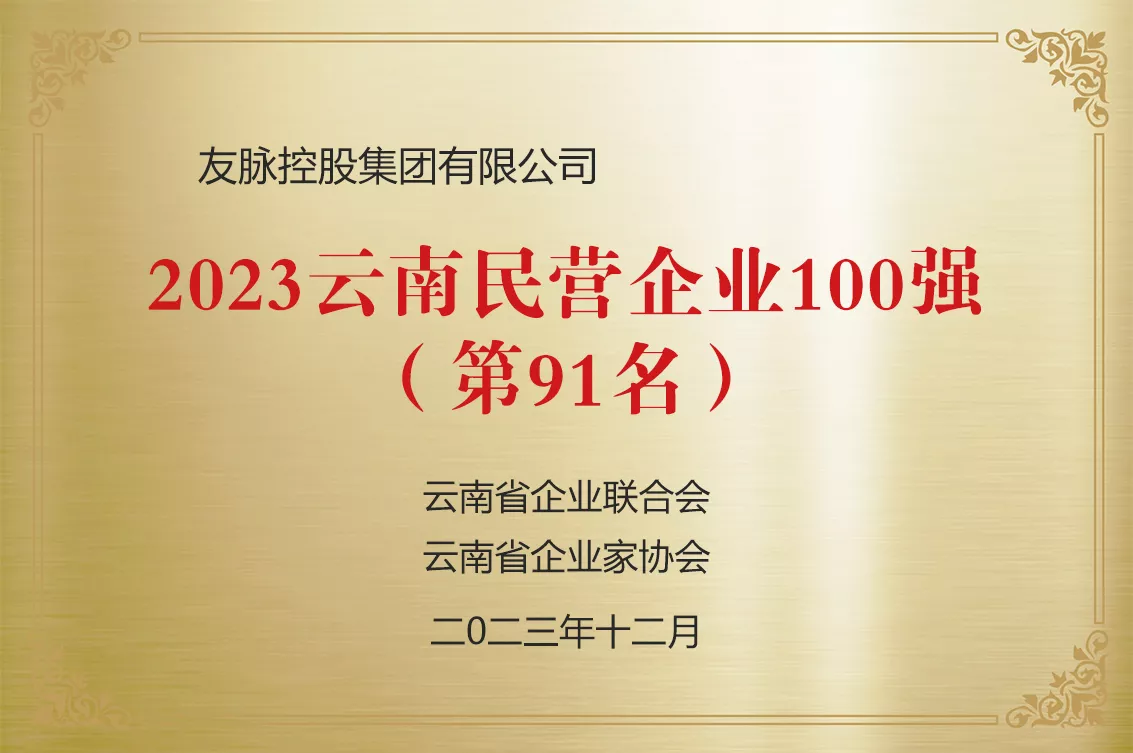 2023云南民营企业100强