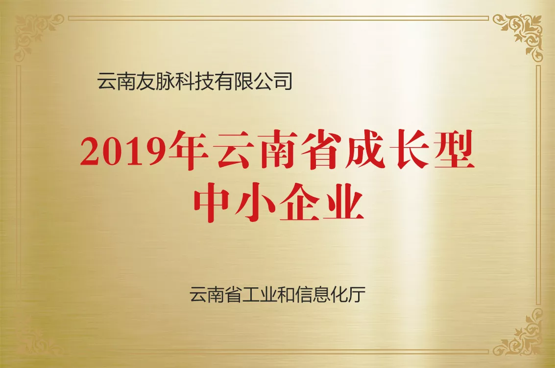 云南省成长型中幼企业
