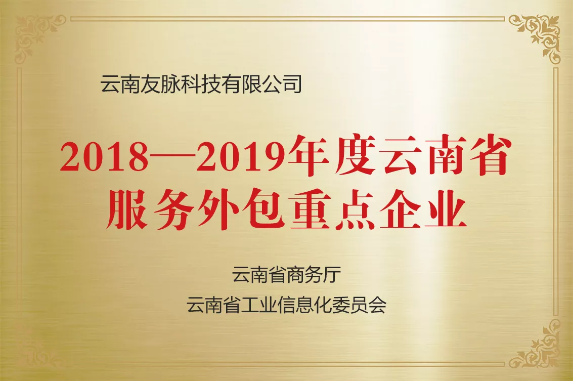 云南省服务表包沉点企业
