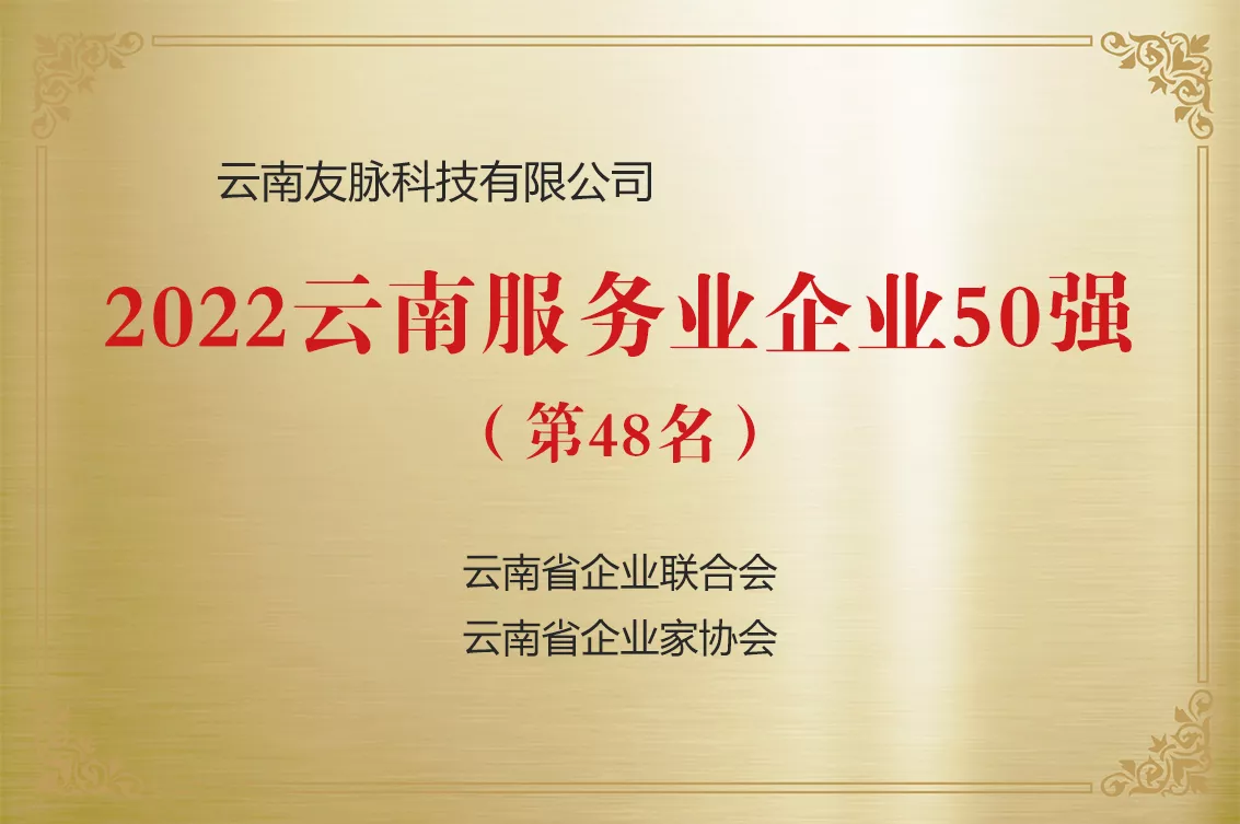 云南省服务业50强